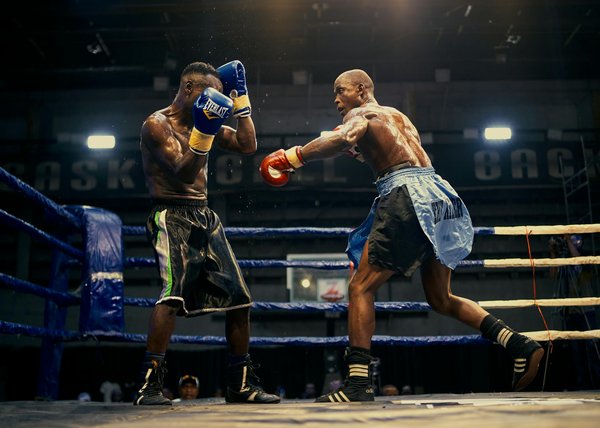 Shorts de combat venum : performance et style pour athlètes exigeants